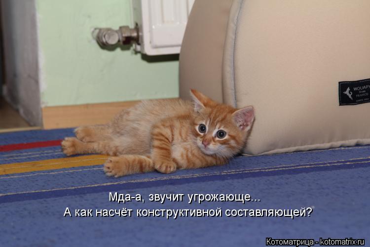 Мда-а, звучит угрожающе... А как насчёт конструктивной составляющей?... Котоматрица: Мда-а, звучит угрожающе... А как насчёт конструктивной составляющей?
