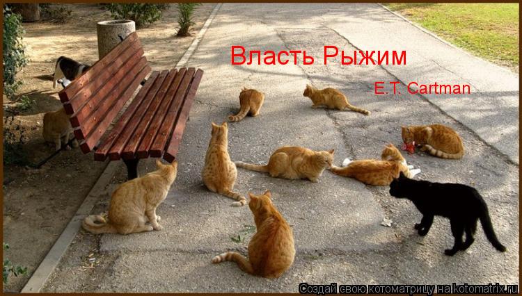 Котоматрица: Власть Рыжим E.T. Cartman