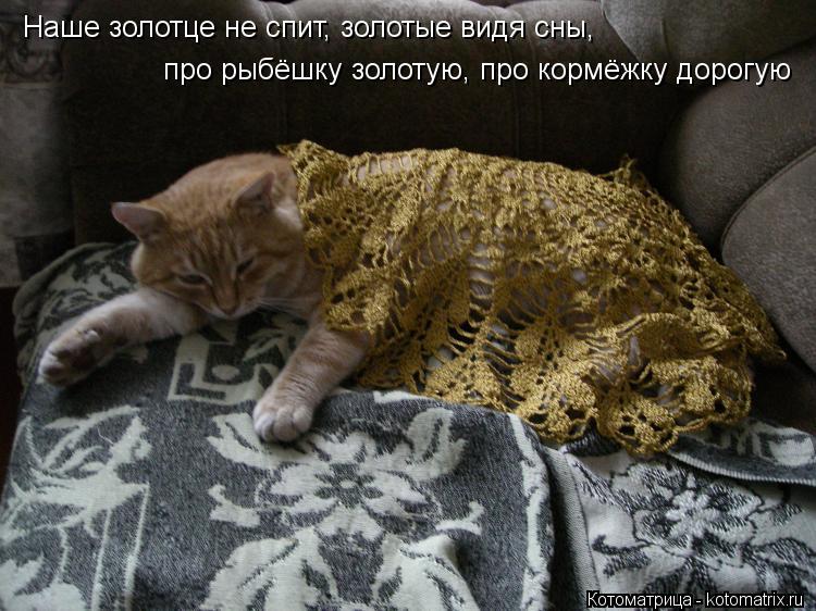Наше золотце не спит, золотые видя сны, про рыбёшку золотую, про кормёжку дорогую... Котоматрица: Наше золотце не спит, золотые видя сны, про рыбёшку золотую, про кормёжку дорогую