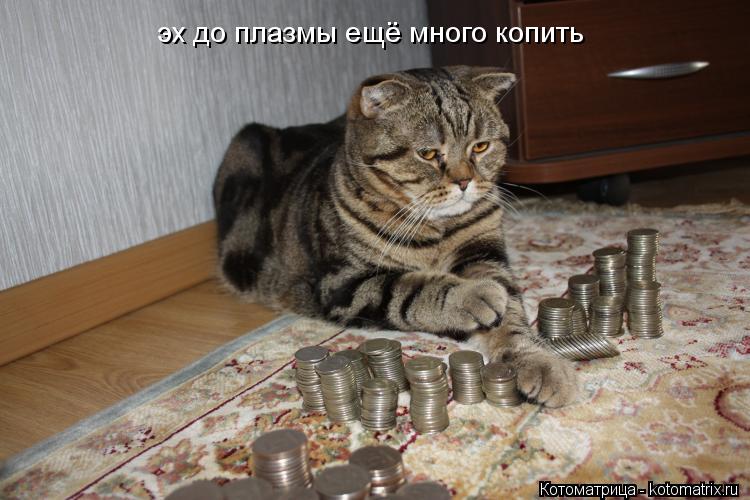 эх до плазмы ещё много копить... Котоматрица: эх до плазмы ещё много копить