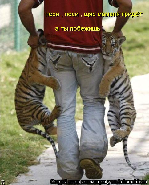 неси , неси , щяс маманя придёт а ты побежишь... Котоматрица: неси , неси , щяс маманя придёт а ты побежишь