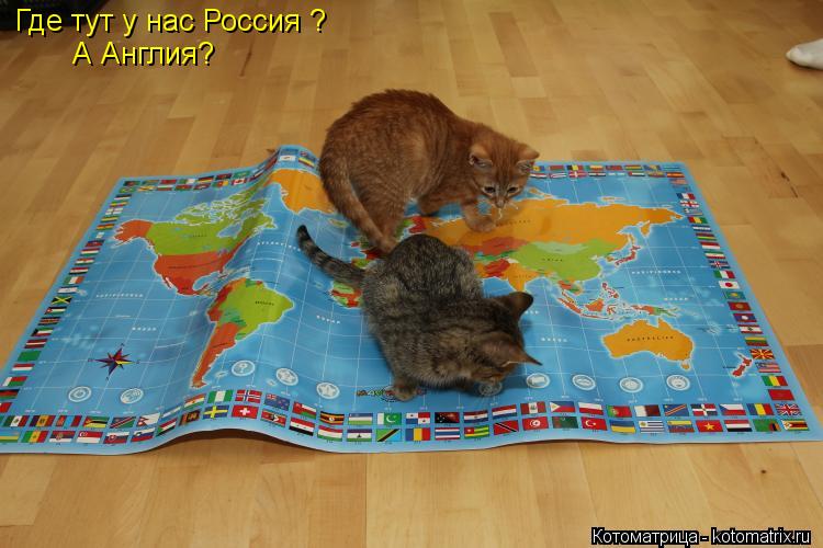 Где тут у нас Россия ? А Англия?... Котоматрица: Где тут у нас Россия ? А Англия?