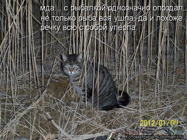 мда... с рыбалкой однозначно опоздал. не только рыба вся ушла, да и похоже речку всю с собой уперла.... Котоматрица: мда... с рыбалкой однозначно опоздал. не только рыба вся ушла, да и похоже речку всю с собой уперла.