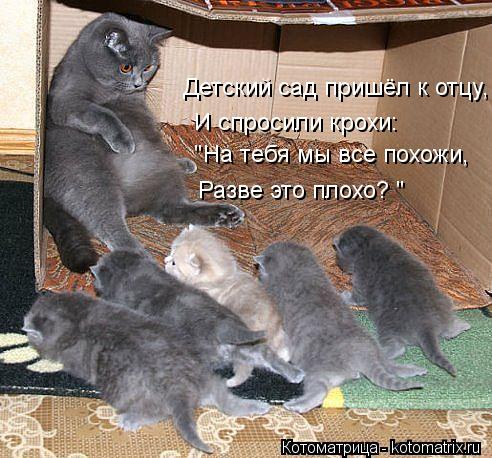 Детский сад пришёл к отцу, И спросили крохи: "На тебя мы все похожи, Разве это плохо? "... Котоматрица: Детский сад пришёл к отцу, И спросили крохи: "На тебя мы все похожи, Разве это плохо? "