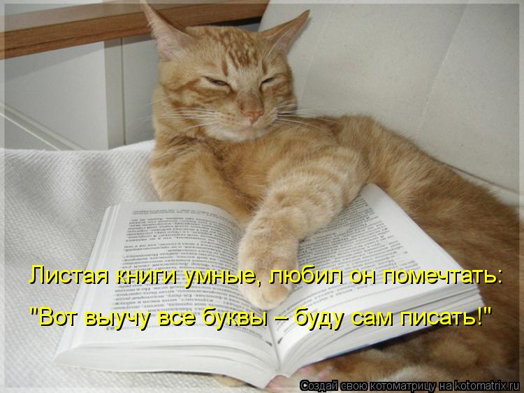Листая книги умные, любил он помечтать: "Вот выучу все буквы – буду сам писать!"... Котоматрица: Листая книги умные, любил он помечтать: "Вот выучу все буквы – буду сам писать!"