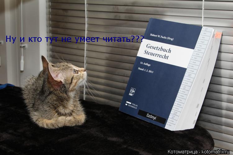 Ну и кто тут не умеет читать???... Котоматрица: Ну и кто тут не умеет читать???