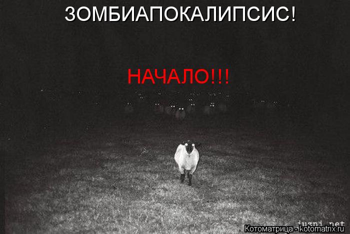 ЗОМБИАПОКАЛИПСИС! НАЧАЛО!!!... Котоматрица: ЗОМБИАПОКАЛИПСИС! НАЧАЛО!!!