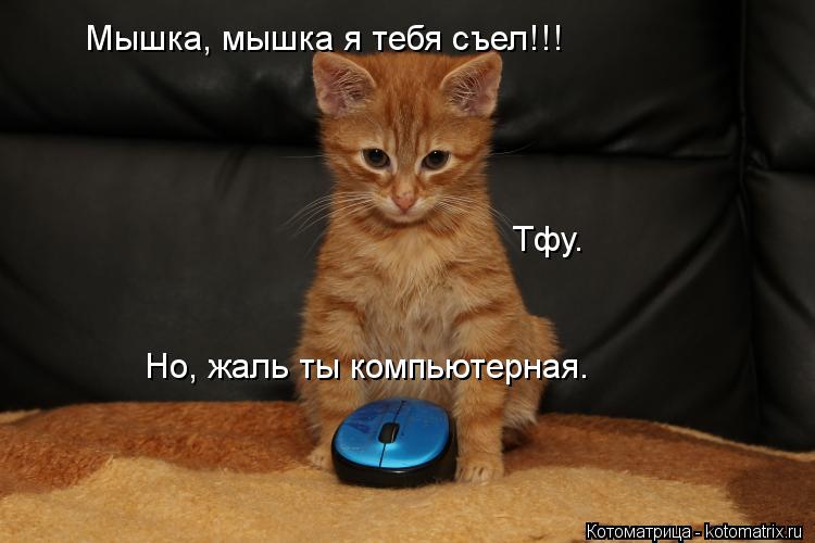 Но, жаль ты компьютерная. Мышка, мышка я тебя съел!!! Тфу.... Котоматрица: Но, жаль ты компьютерная. Мышка, мышка я тебя съел!!! Тфу.