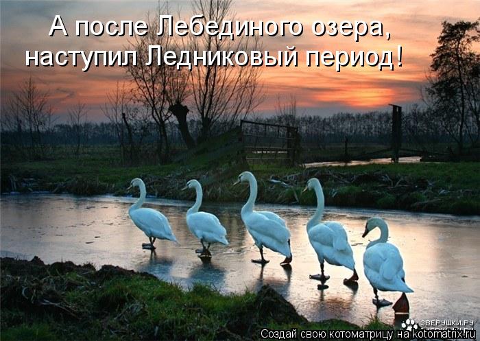 А после Лебединого озера, наступил Ледниковый период!... Котоматрица: А после Лебединого озера, наступил Ледниковый период!