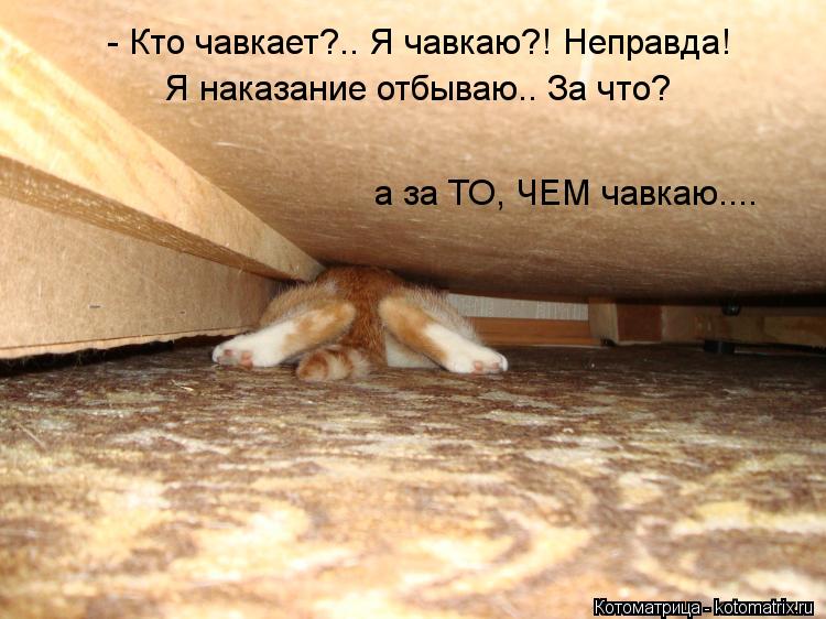 - Кто чавкает?.. Я чавкаю?! Неправда! Я наказание отбываю.. За что? а за ТО, ЧЕМ чавкаю....... Котоматрица: - Кто чавкает?.. Я чавкаю?! Неправда! Я наказание отбываю.. За что? а за ТО, ЧЕМ чавкаю....
