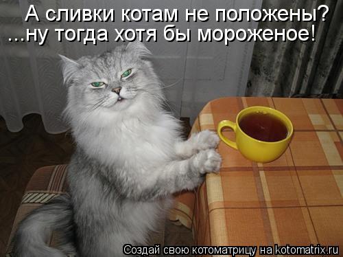 А сливки котам не положены? ...ну тогда хотя бы мороженое!... Котоматрица: А сливки котам не положены? ...ну тогда хотя бы мороженое!