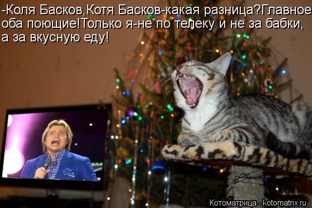 -Коля Басков,Котя Басков-какая разница?Главное, оба поющие!Только я-не по телеку и не за бабки, а за ... Котоматрица: -Коля Басков,Котя Басков-какая разница?Главное, оба поющие!Только я-не по телеку и не за бабки, а за вкусную еду!