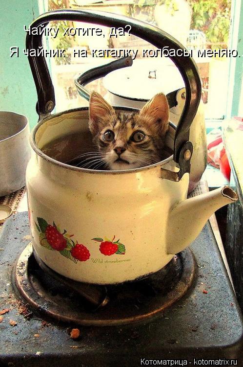 Чайку хотите, да? Я чайник на каталку колбасы меняю...... Котоматрица: Чайку хотите, да? Я чайник на каталку колбасы меняю...