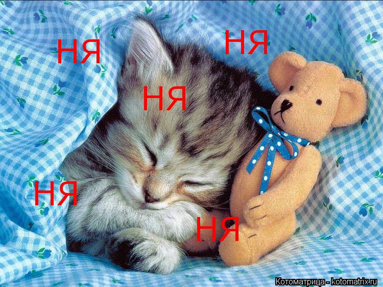 НЯ НЯ НЯ НЯ НЯ... Котоматрица: НЯ НЯ НЯ НЯ НЯ