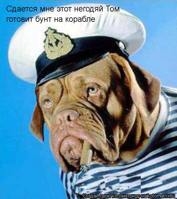 Сдается мне этот негодяй Том готовит бунт на корабле... Котоматрица: Сдается мне этот негодяй Том готовит бунт на корабле