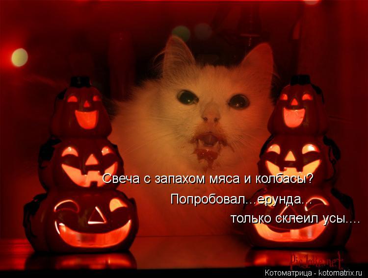 Свеча с запахом мяса и колбасы? Попробовал...ерунда... только склеил усы....... Котоматрица: Свеча с запахом мяса и колбасы? Попробовал...ерунда... только склеил усы....