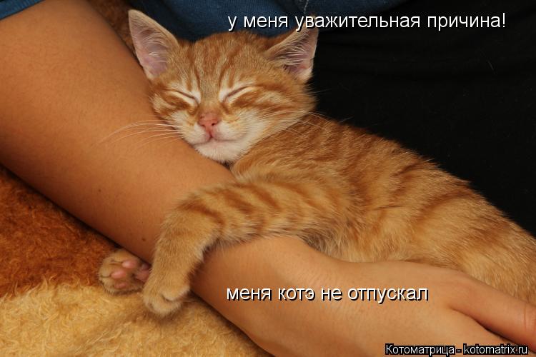 у меня уважительная причина! меня котэ не отпускал... Котоматрица: у меня уважительная причина! меня котэ не отпускал