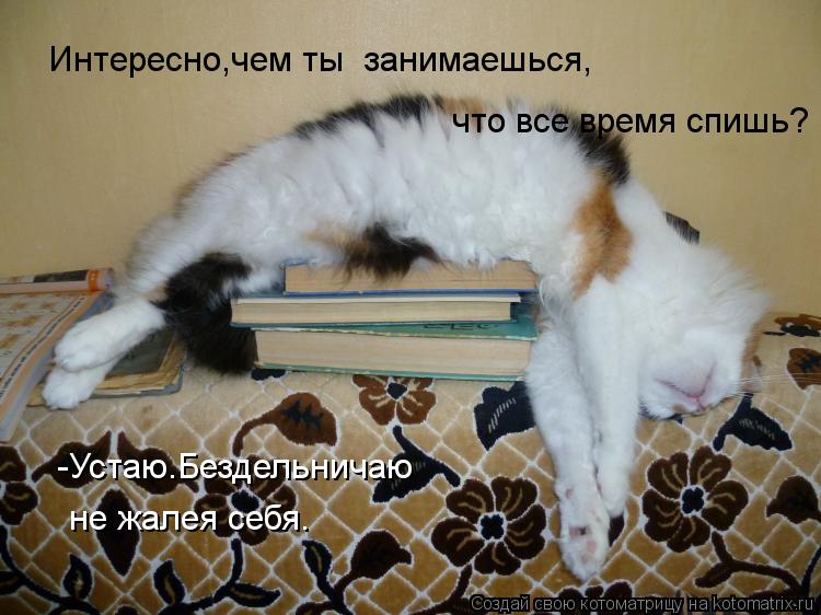Интересно,чем ты занимаешься, что все время спишь? -Устаю.Бездельничаю не жалея себя.... Котоматрица: Интересно,чем ты занимаешься, что все время спишь? -Устаю.Бездельничаю не жалея себя.