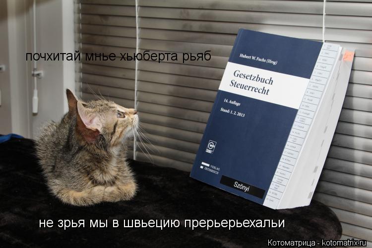 почхитай мнье хьюберта рьяб не зрья мы в швьецию прерьерьехальи... Котоматрица: почхитай мнье хьюберта рьяб не зрья мы в швьецию прерьерьехальи
