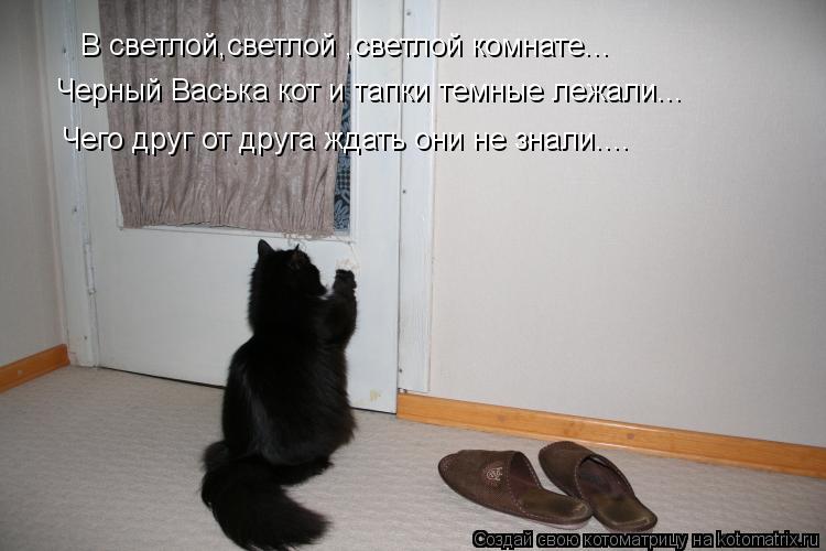 В светлой,светлой ,светлой комнате... Черный Васька кот и тапки темные лежали... Чего друг от друга ж... Котоматрица: В светлой,светлой ,светлой комнате... Черный Васька кот и тапки темные лежали... Чего друг от друга ждать они не знали....