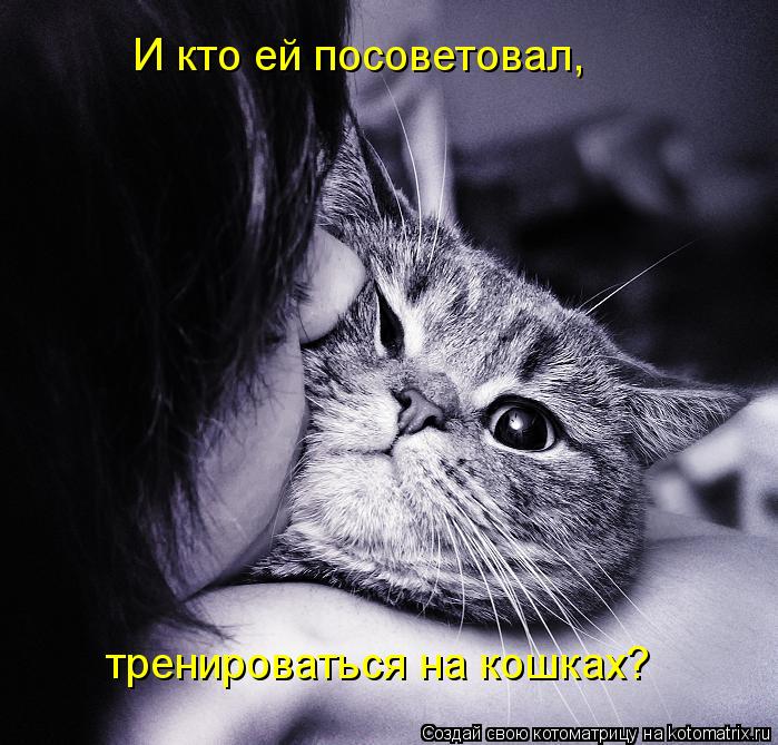 И кто ей посоветовал, тренироваться на кошках?... Котоматрица: И кто ей посоветовал, тренироваться на кошках?