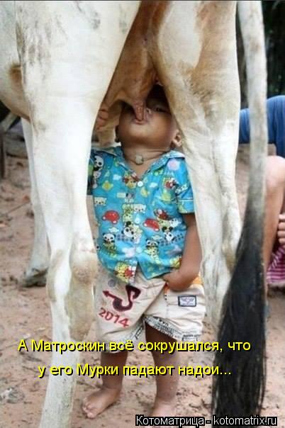 А Матроскин всё сокрушался, что у его Мурки падают надои...... Котоматрица: А Матроскин всё сокрушался, что у его Мурки падают надои...