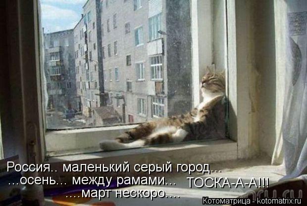 Россия.. маленький серый город... ...осень... между рамами... ТОСКА-А-А!!! ....март нескоро....... Котоматрица: Россия.. маленький серый город... ...осень... между рамами... ТОСКА-А-А!!! ....март нескоро....