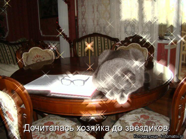 Дочиталась хозяйка до звёздиков.... Котоматрица: Дочиталась хозяйка до звёздиков.