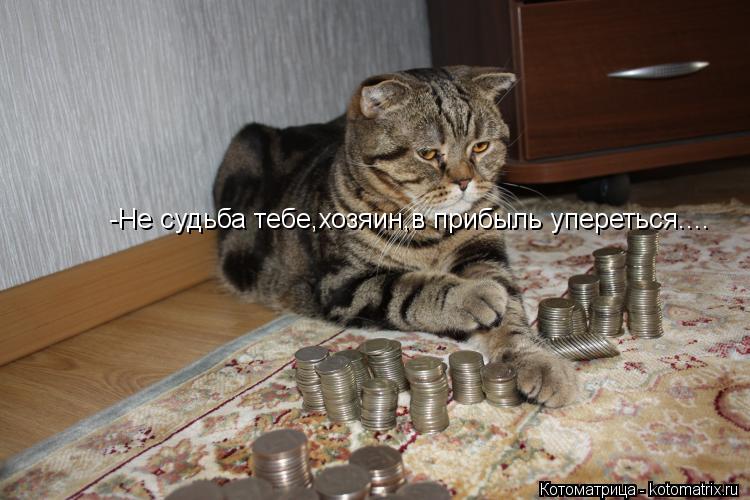-Не судьба тебе,хозяин,в прибыль упереться....... Котоматрица: -Не судьба тебе,хозяин,в прибыль упереться....