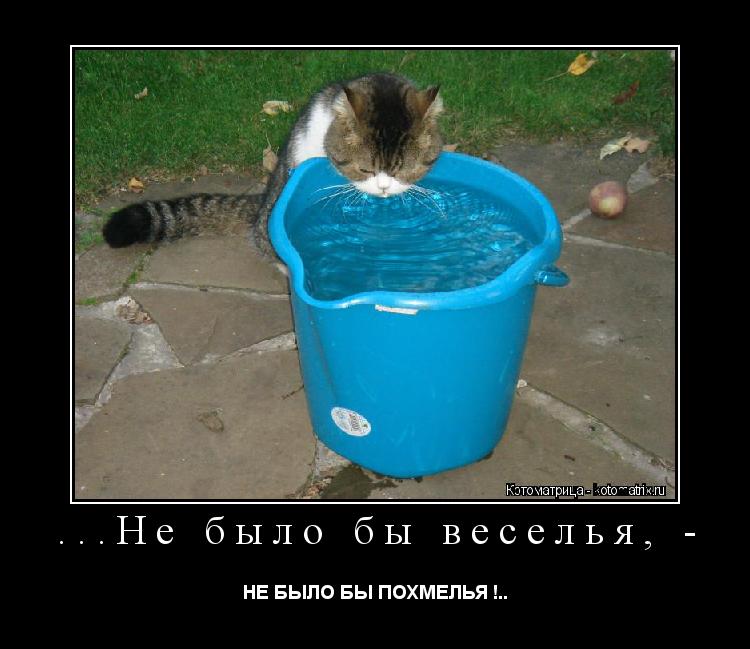 ...Не было бы веселья, - НЕ БЫЛО БЫ ПОХМЕЛЬЯ !..... Котоматрица: ...Не было бы веселья, - НЕ БЫЛО БЫ ПОХМЕЛЬЯ !..
