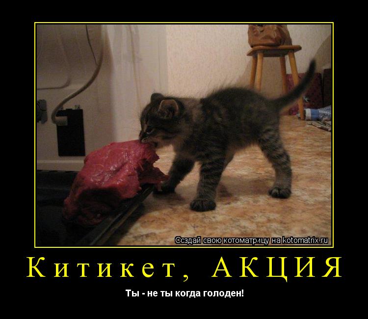 Китикет, АКЦИЯ Ты - не ты когда голоден!... Котоматрица: Китикет, АКЦИЯ Ты - не ты когда голоден!