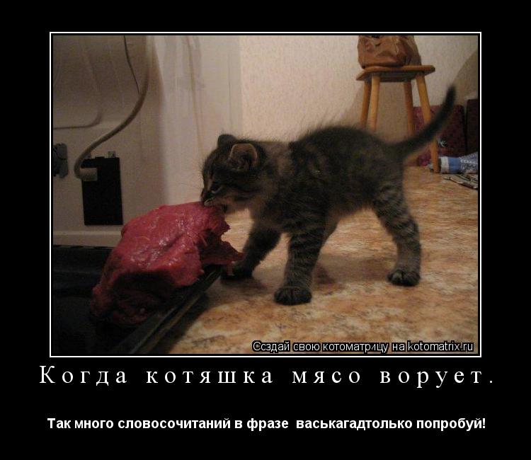 Когда котяшка мясо ворует. Так много словосочитаний в фразе васькагадтолько попробуй!... Котоматрица: Когда котяшка мясо ворует. Так много словосочитаний в фразе васькагадтолько попробуй!
