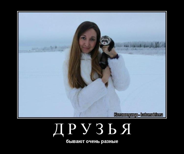 ДРУЗЬЯ бывают очень разные... Котоматрица: ДРУЗЬЯ бывают очень разные