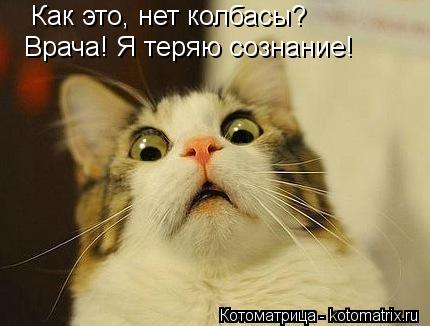 Как это, нет колбасы? Врача! Я теряю сознание!... Котоматрица: Как это, нет колбасы? Врача! Я теряю сознание!