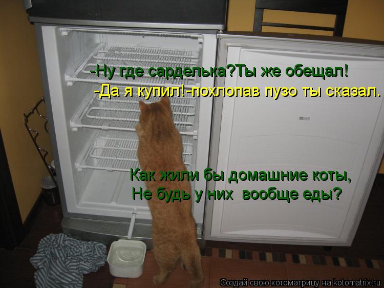 -Ну где сарделька?Ты же обещал! -Да я купил!-похлопав пузо ты сказал. Как жили бы домашние коты, Не б... Котоматрица: -Ну где сарделька?Ты же обещал! -Да я купил!-похлопав пузо ты сказал. Как жили бы домашние коты, Не будь у них вообще еды?