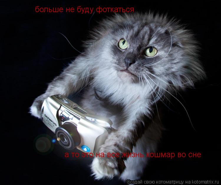 больше не буду фоткаться а то это на все жизнь кошмар во сне... Котоматрица: больше не буду фоткаться а то это на все жизнь кошмар во сне