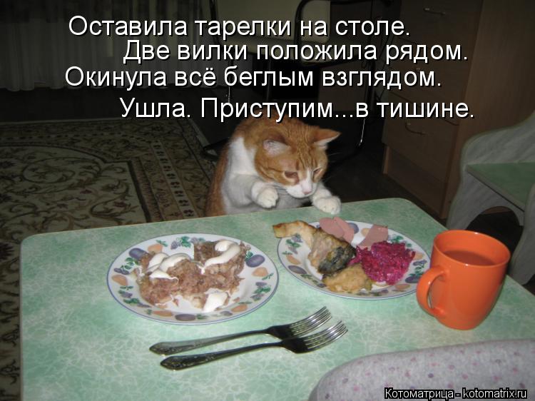 Оставила тарелки на столе. Две вилки положила рядом. Окинула всё беглым взглядом. Ушла. Приступим...... Котоматрица: Оставила тарелки на столе. Две вилки положила рядом. Окинула всё беглым взглядом. Ушла. Приступим...в тишине.
