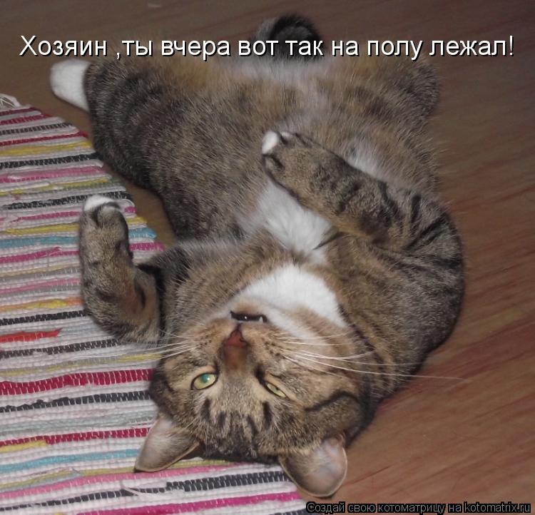Хозяин ,ты вчера вот так на полу лежал!... Котоматрица: Хозяин ,ты вчера вот так на полу лежал!