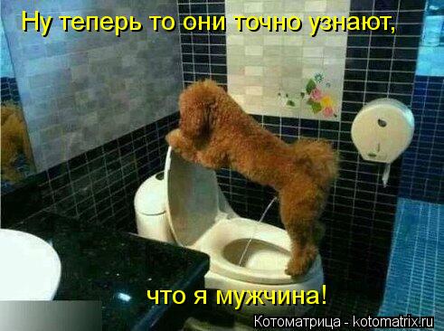Ну теперь то они точно узнают, что я мужчина!... Котоматрица: Ну теперь то они точно узнают, что я мужчина!