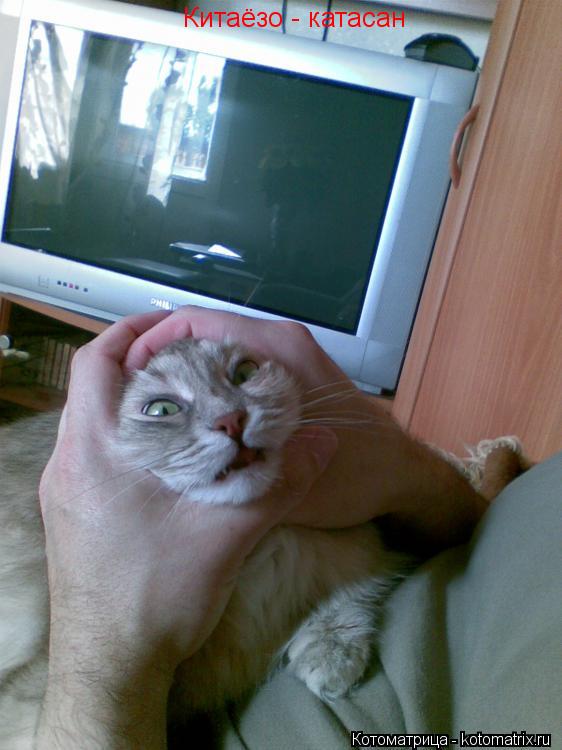 Китаёзо - катасан... Котоматрица: Китаёзо - катасан