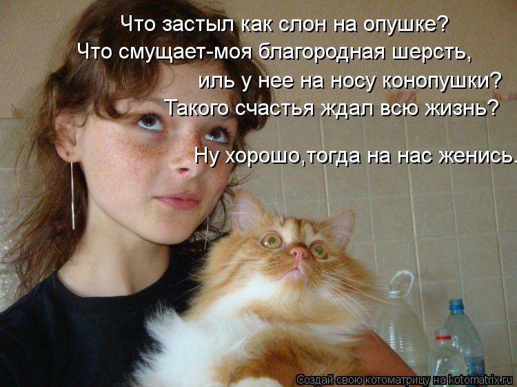 Что застыл как слон на опушке? Что смущает-моя благородная шерсть, иль у нее на носу конопушки? Таког... Котоматрица: Что застыл как слон на опушке? Что смущает-моя благородная шерсть, иль у нее на носу конопушки? Такого счастья ждал всю жизнь? Ну хорошо,тогд