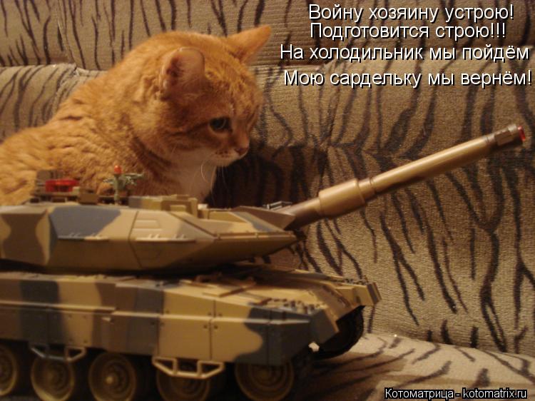 Войну хозяину устрою! Подготовится строю!!! На холодильник мы пойдём Мою сардельку мы вернём!... Котоматрица: Войну хозяину устрою! Подготовится строю!!! На холодильник мы пойдём Мою сардельку мы вернём!