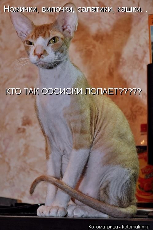 Ножички, вилочки, салатики, кашки... КТО ТАК СОСИСКИ ЛОПАЕТ?????... Котоматрица: Ножички, вилочки, салатики, кашки... КТО ТАК СОСИСКИ ЛОПАЕТ?????