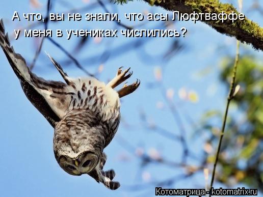 Котоматрица: А что, вы не знали, что асы Люфтваффе у меня в учениках числились?