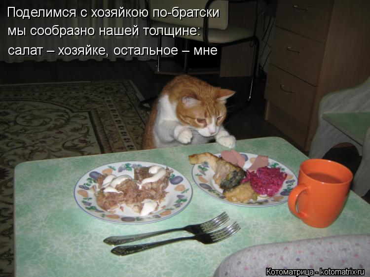 Поделимся с хозяйкою по-братски мы сообразно нашей толщине: салат – хозяйке, остальное – мне... Котоматрица: Поделимся с хозяйкою по-братски мы сообразно нашей толщине: салат – хозяйке, остальное – мне