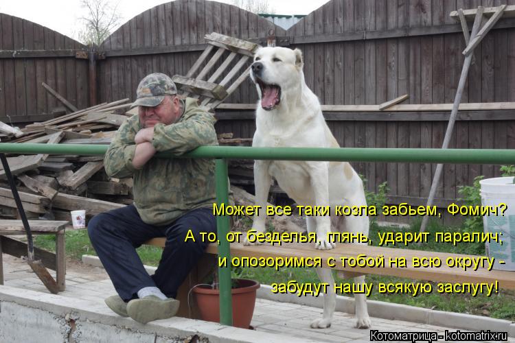 Может все таки козла забьем, Фомич? А то, от безделья, глянь, ударит паралич; и опозоримся с тобой на... Котоматрица: Может все таки козла забьем, Фомич? А то, от безделья, глянь, ударит паралич; и опозоримся с тобой на всю округу - забудут нашу всякую заслугу!