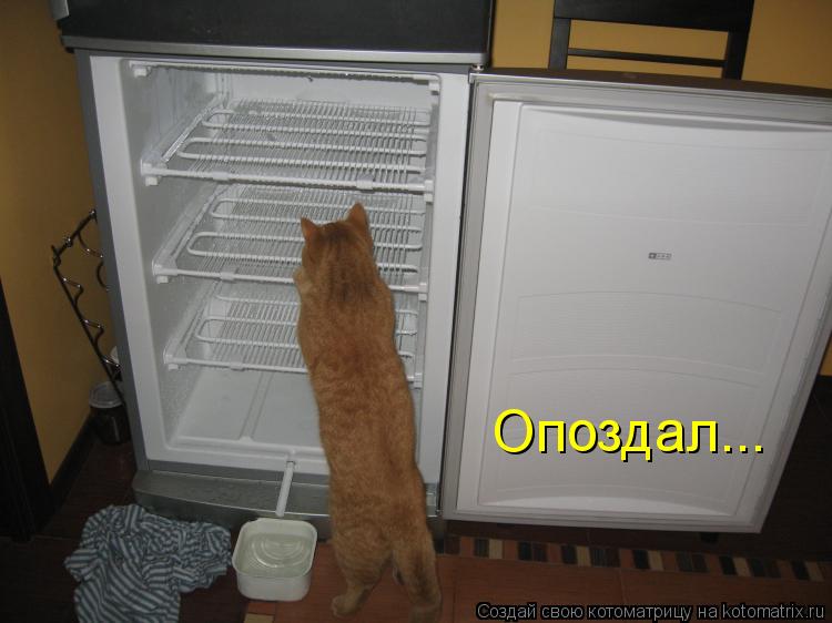 Опоздал...... Котоматрица: Опоздал...