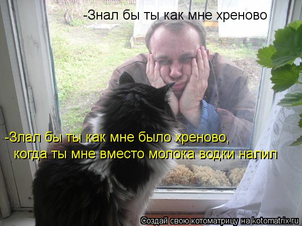 -Знал бы ты как мне хреново -Злал бы ты как мне было хреново, когда ты мне вместо молока водки нали... Котоматрица: -Знал бы ты как мне хреново -Злал бы ты как мне было хреново, когда ты мне вместо молока водки налил