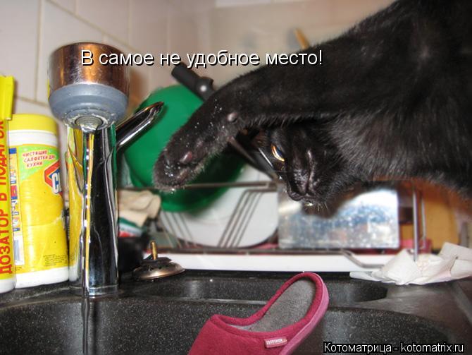 В самое не удобное место!... Котоматрица: В самое не удобное место!
