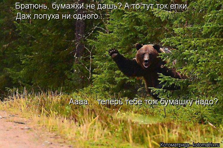 Братюнь, бумажки не дашь? А то тут ток елки, Даж лопуха ни одного... Аааа... теперь тебе тож бумашку ... Котоматрица: Братюнь, бумажки не дашь? А то тут ток елки, Даж лопуха ни одного... Аааа... теперь тебе тож бумашку надо?